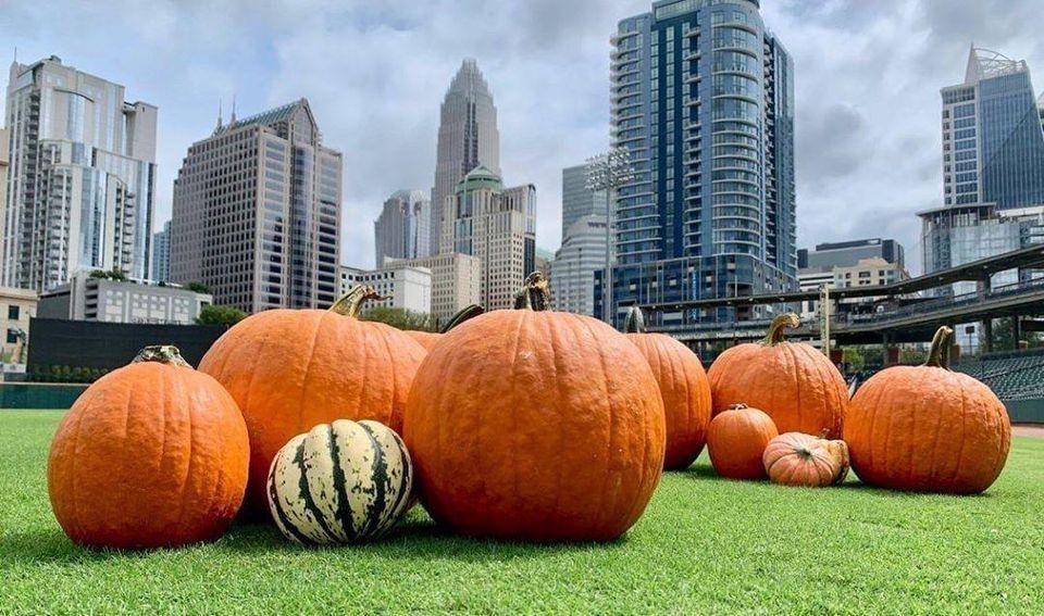 The Pumpkin Patch at Truist Field