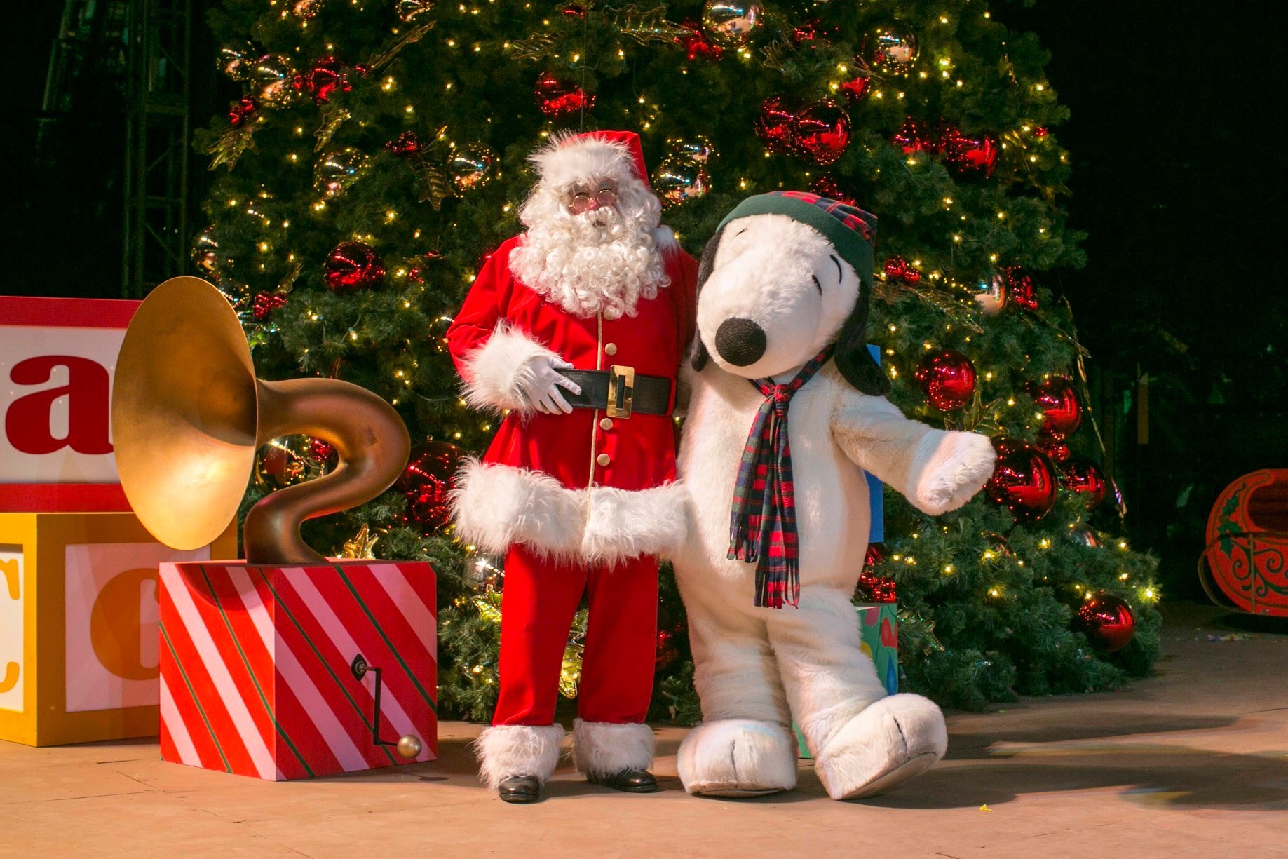 Outdoor Holiday Experiences to Enjoy This Season