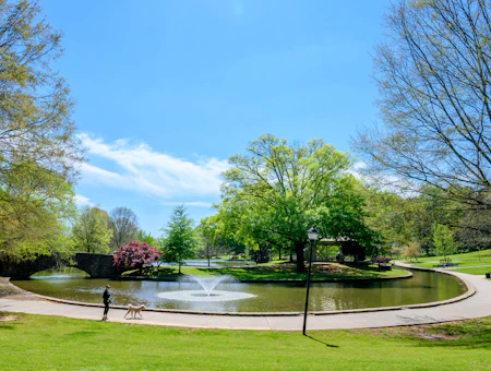 Take the Scenic Route with the CLT Trail Guide