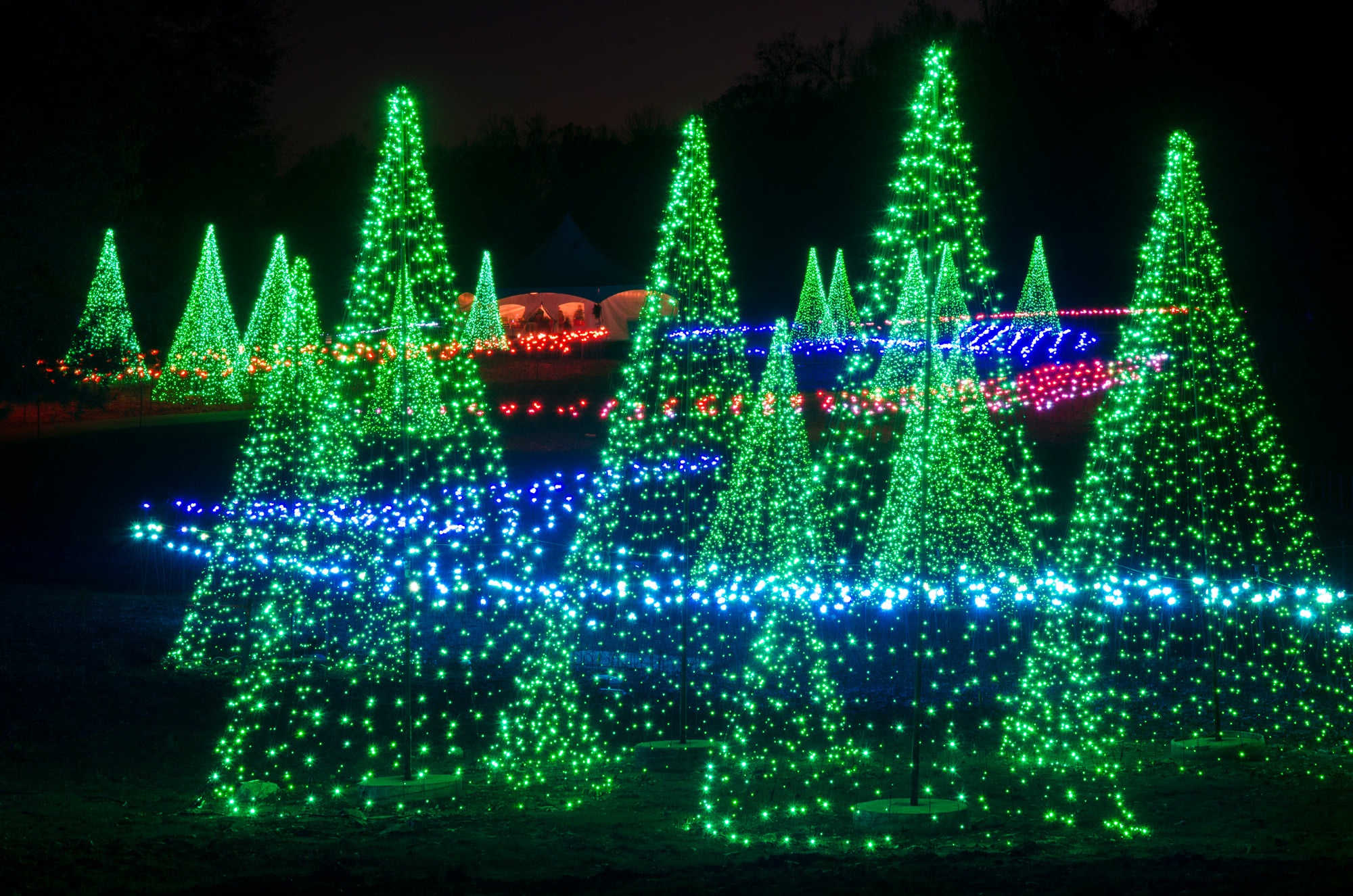 Holidays at the Garden