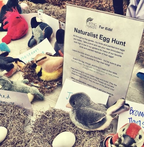 Naturalist Egg Hunt