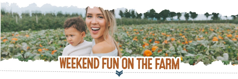 Weekend Fall Fun at Patterson Farms