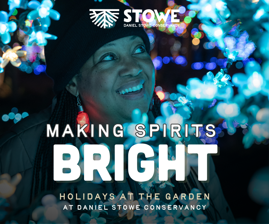 Daniel Stowe - Holiday 2025