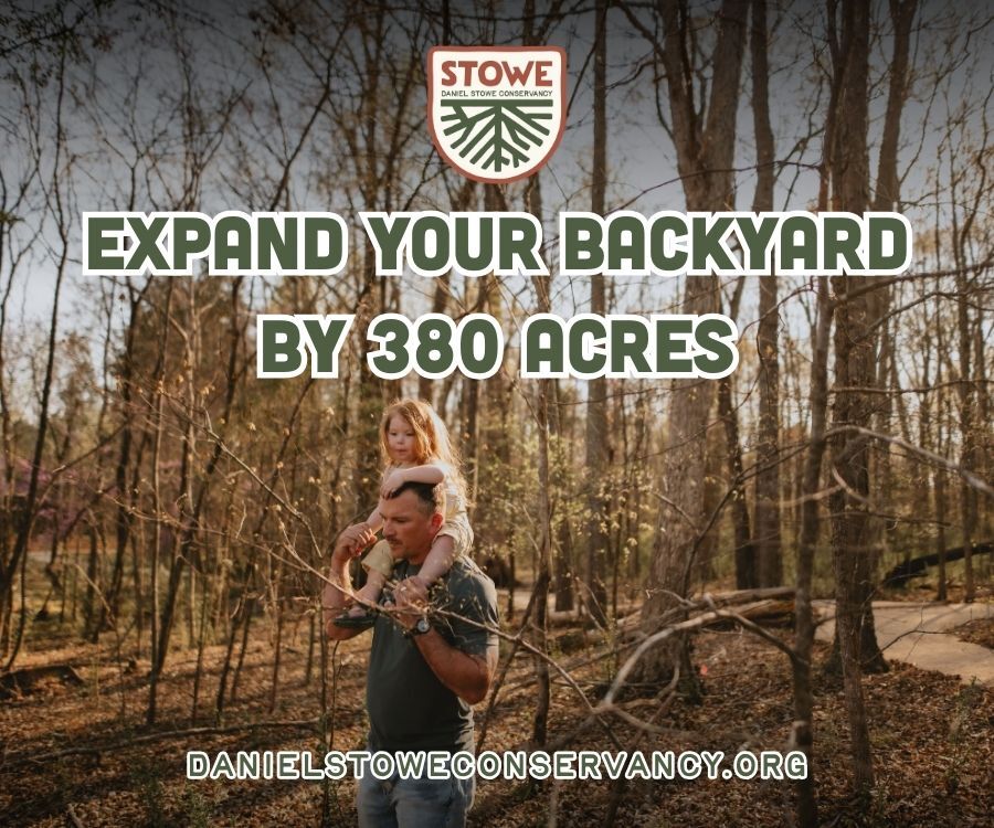 Daniel Stowe - Spring 2026