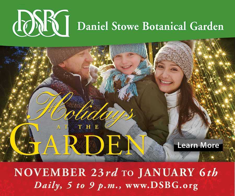 DSBG - Holidays at the Garden