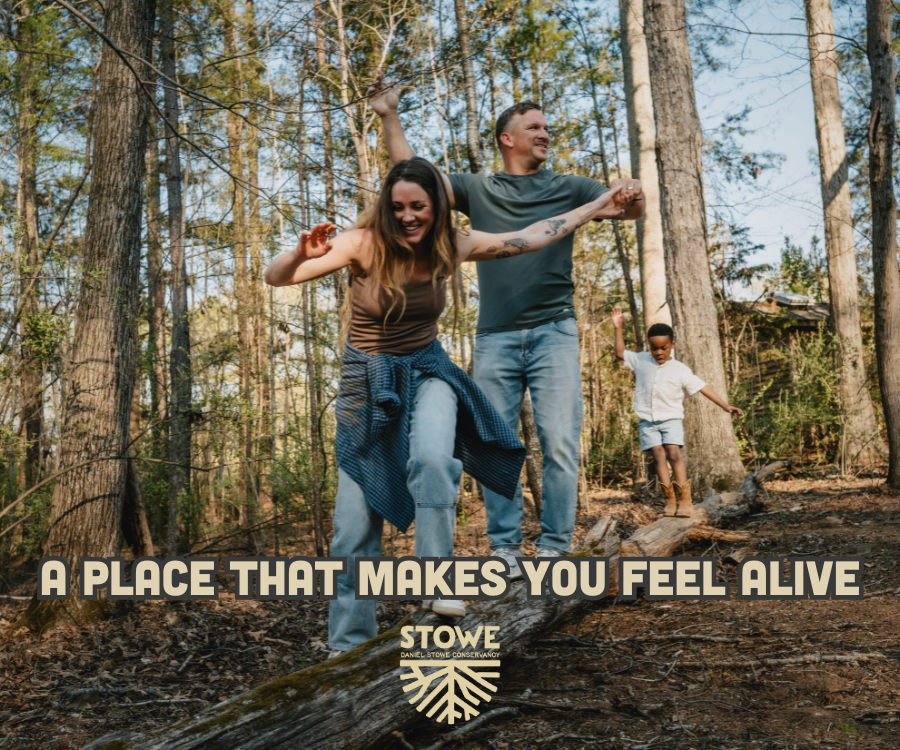 DSBG_Conservancy_Summer2025