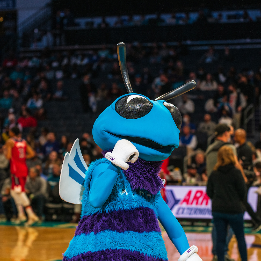 Cropped cropped Charlotte Hornets 111