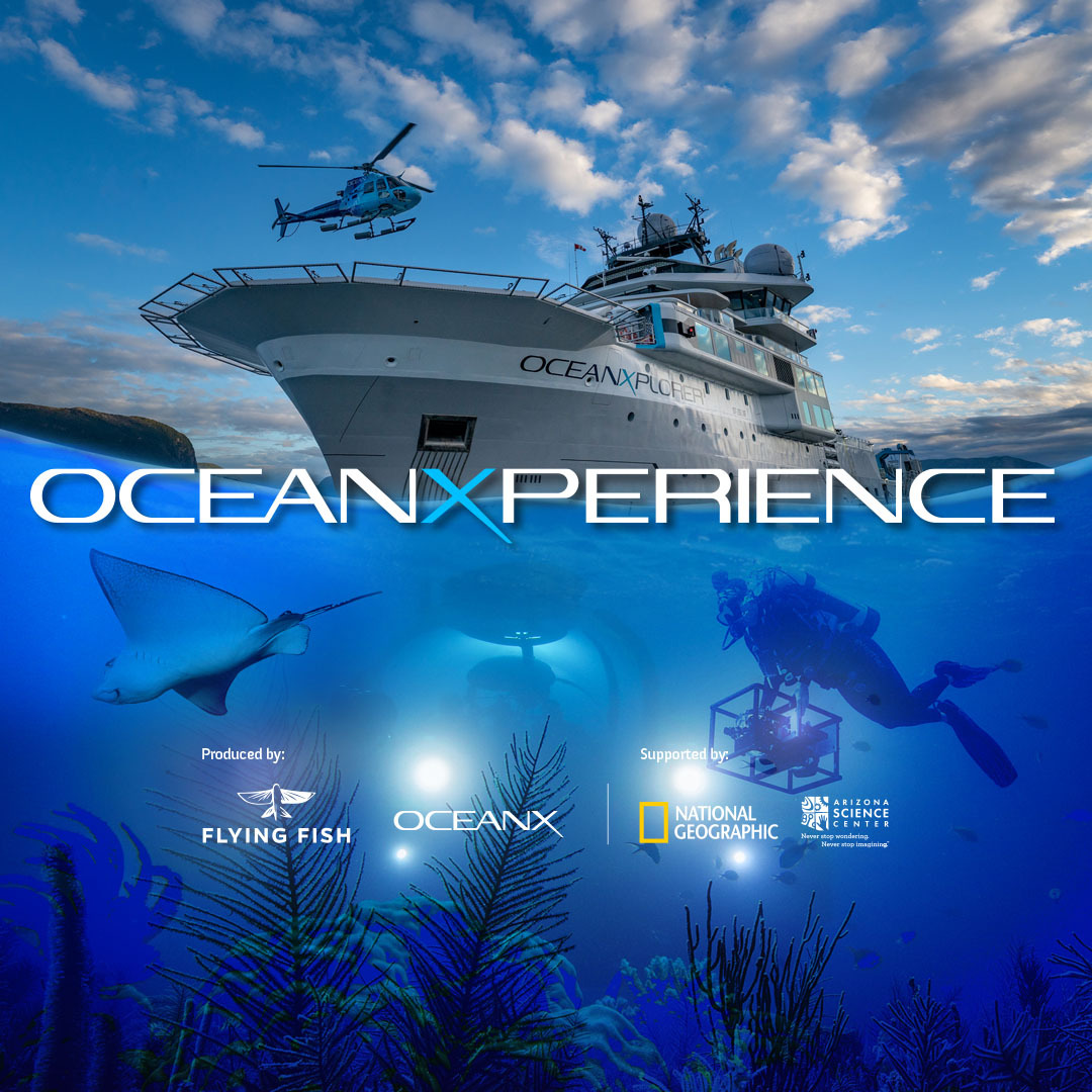 OceanXperience