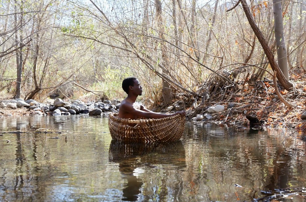 Diedrick Brackens: ark of bulrushes