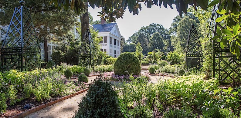 Cocktails in the Garden