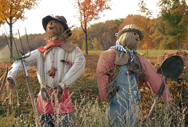 Mint Hill Madness 2023