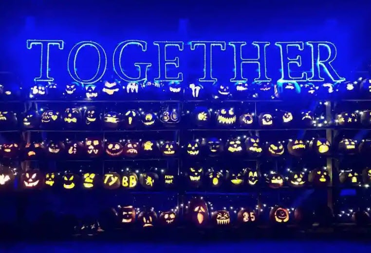 The Great Elizabeth Pumpkin Wall Charlottes Got A Lot