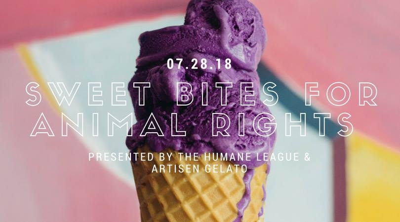 Sweet Bites for Animal Rights