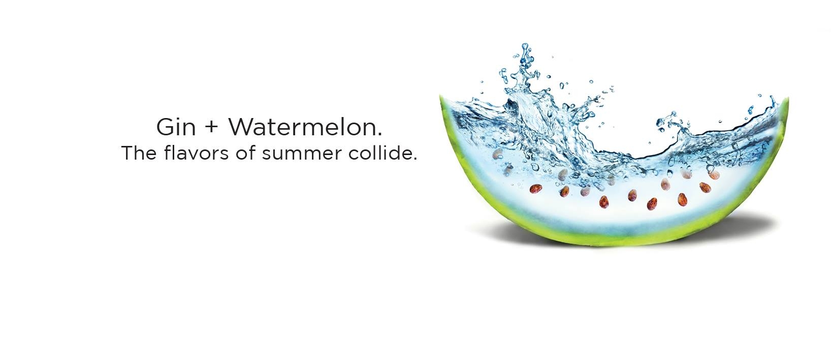 Gin + Watermelon