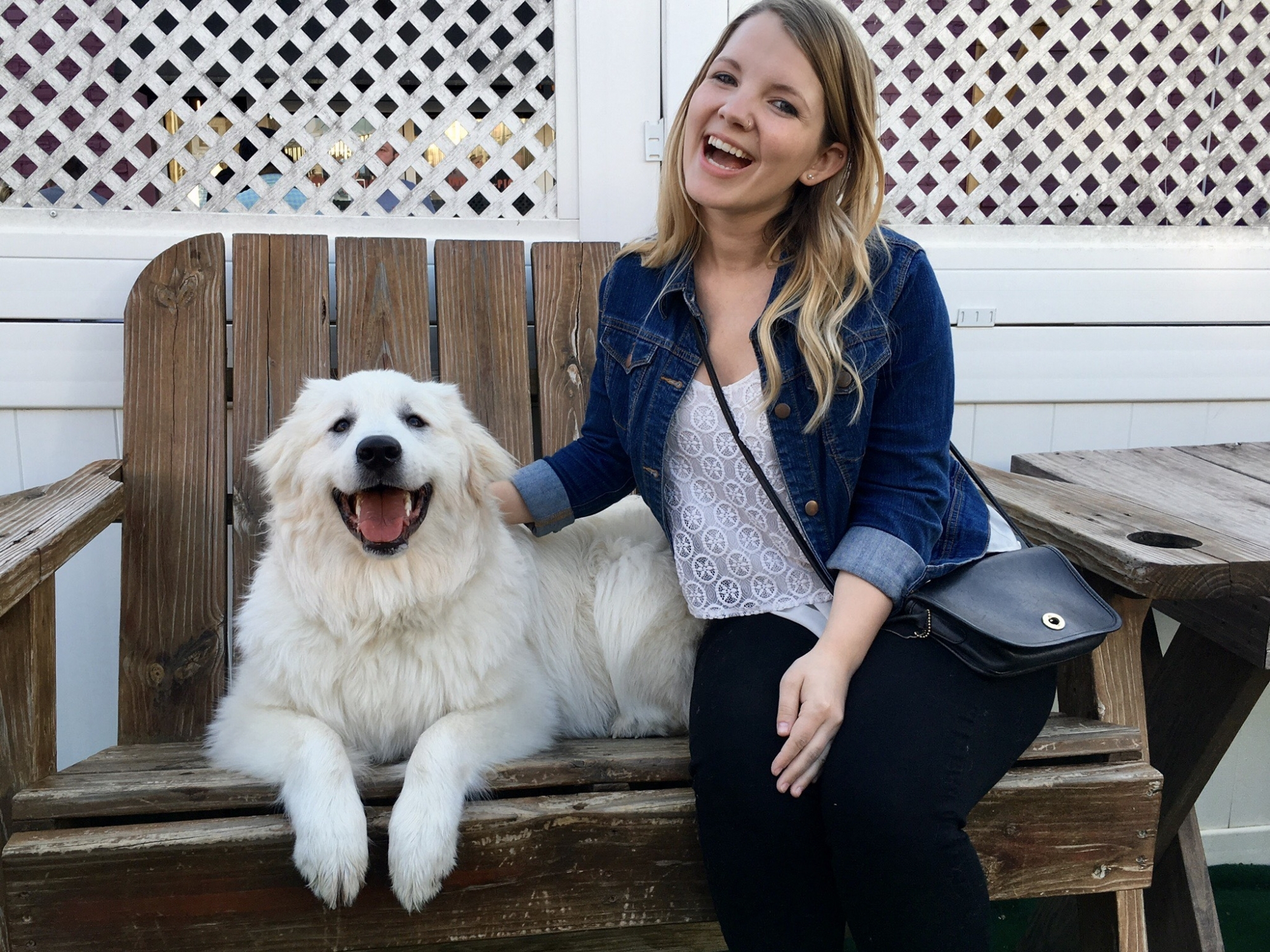 Paws on the Patio at WP Kitchen + Bar