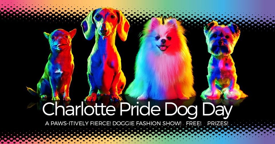 Charlotte Pride Dog Day