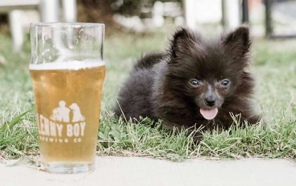 Sip & Drool at Lenny Boy