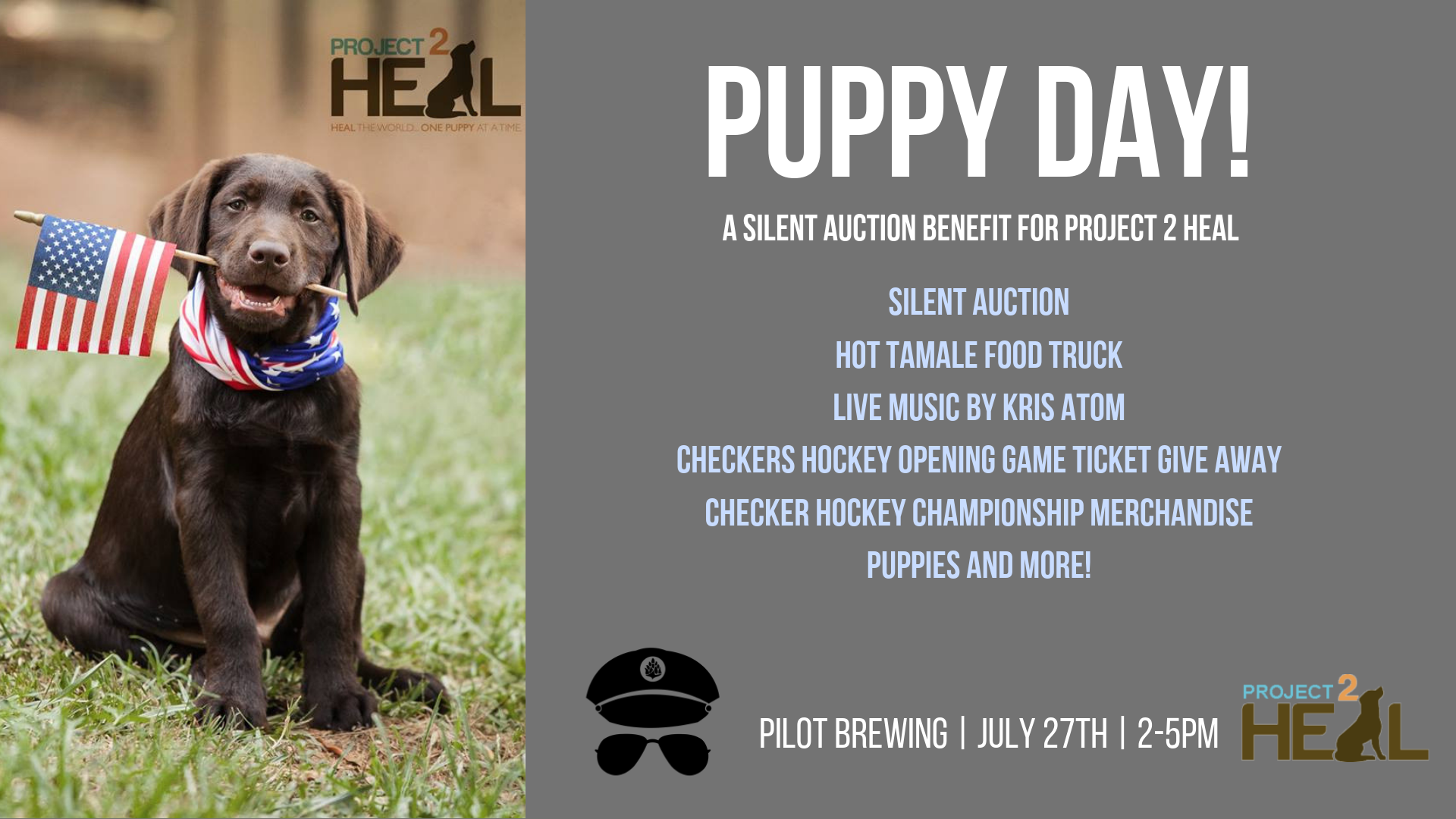 Project 2 Heal Fundraiser