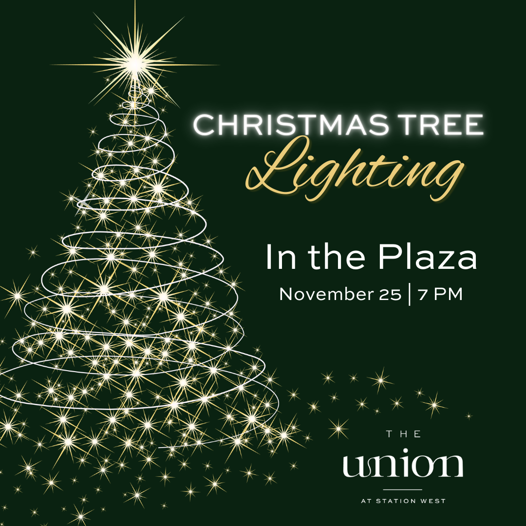 Christmas Tree Lighting