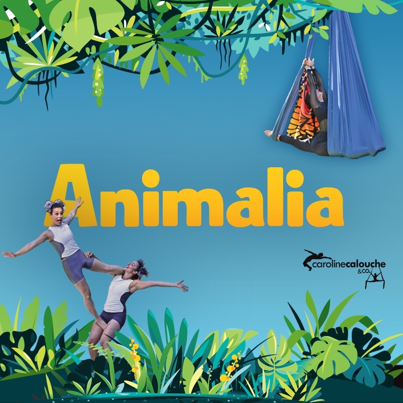 Animalia