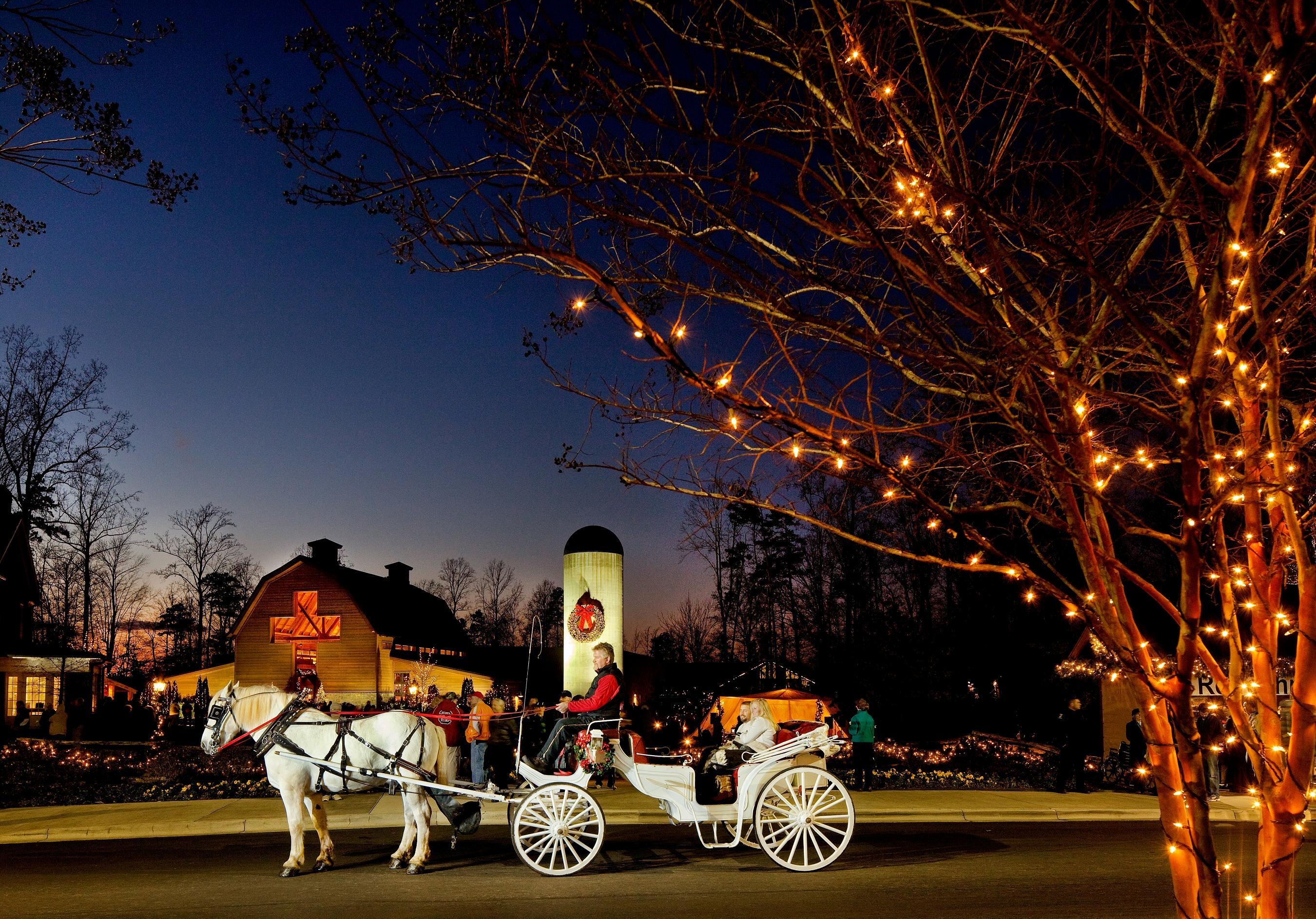 Christmas at the Library