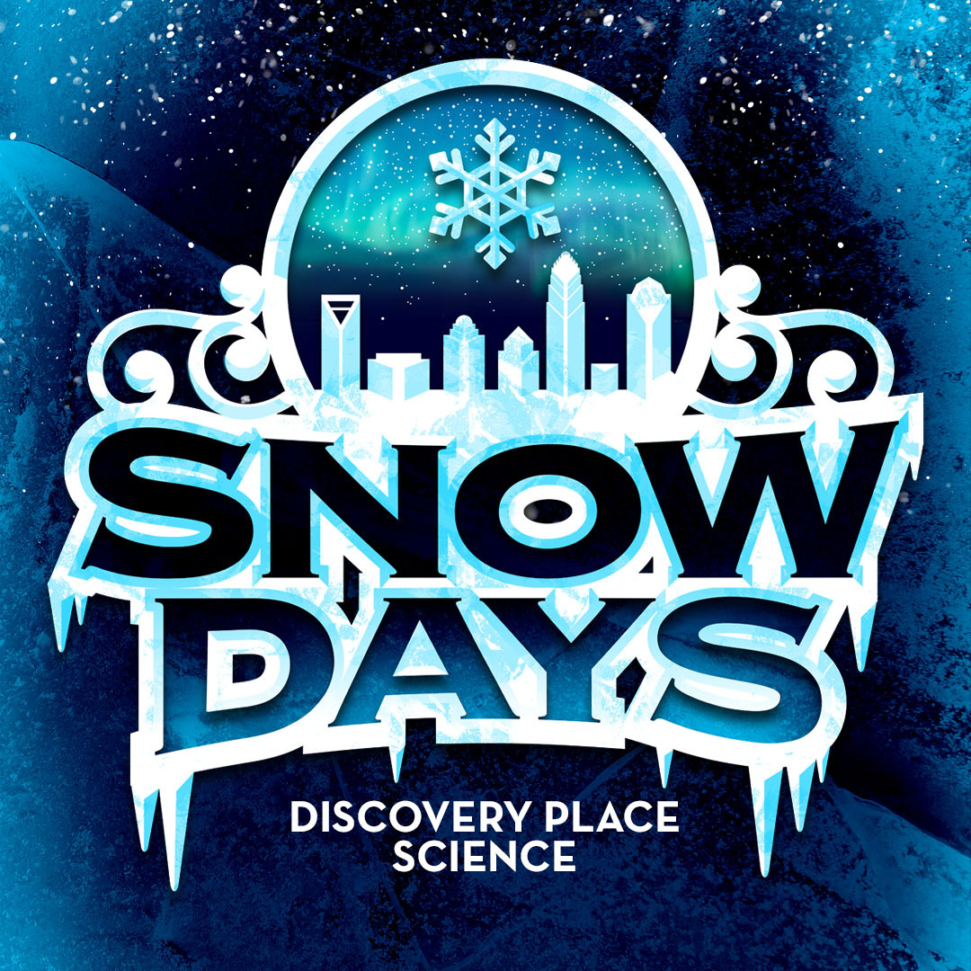 Snow Days: Winter Experience