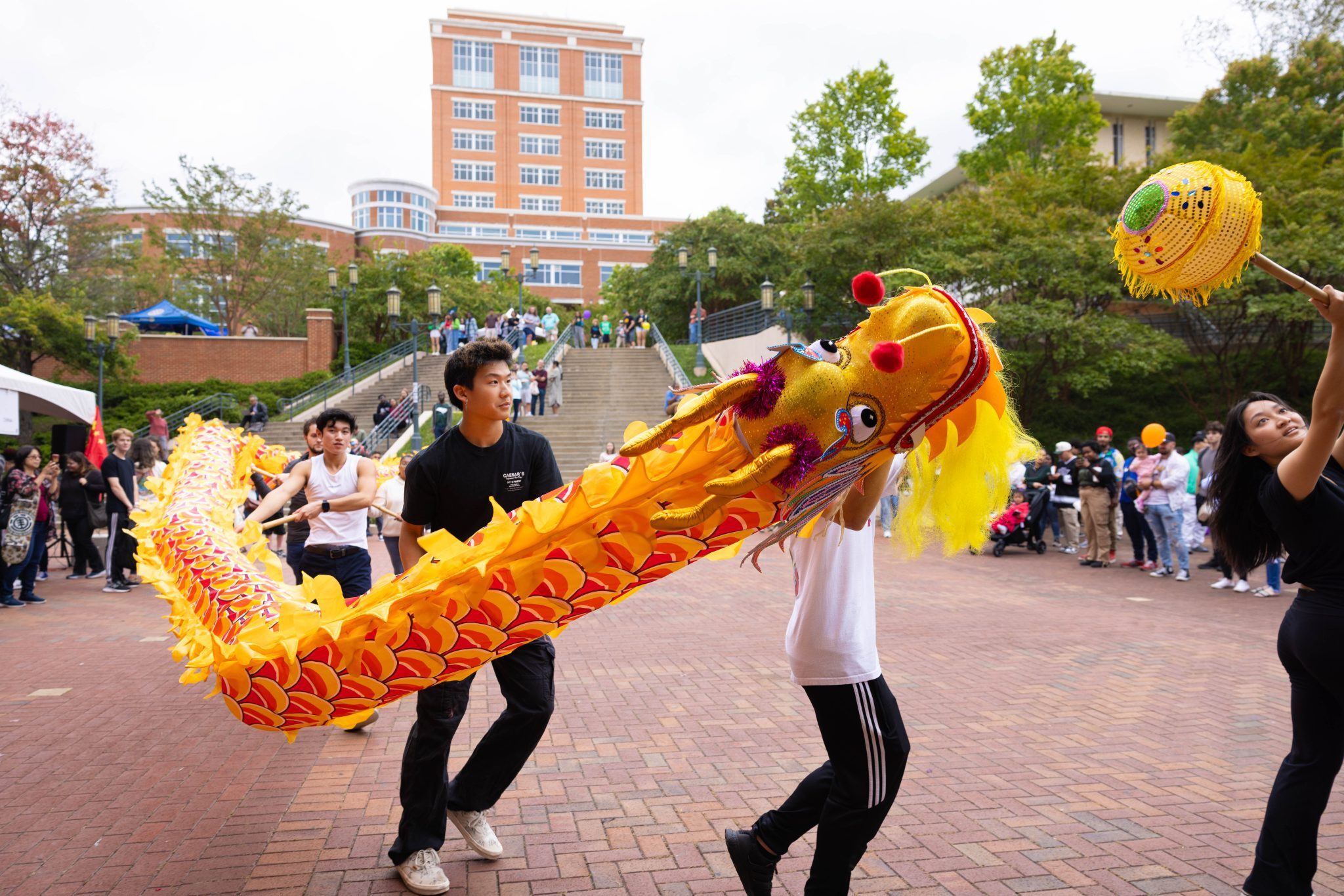 UNC Charlotte International Festival