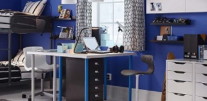 IKEA Charlotte Back to College Event