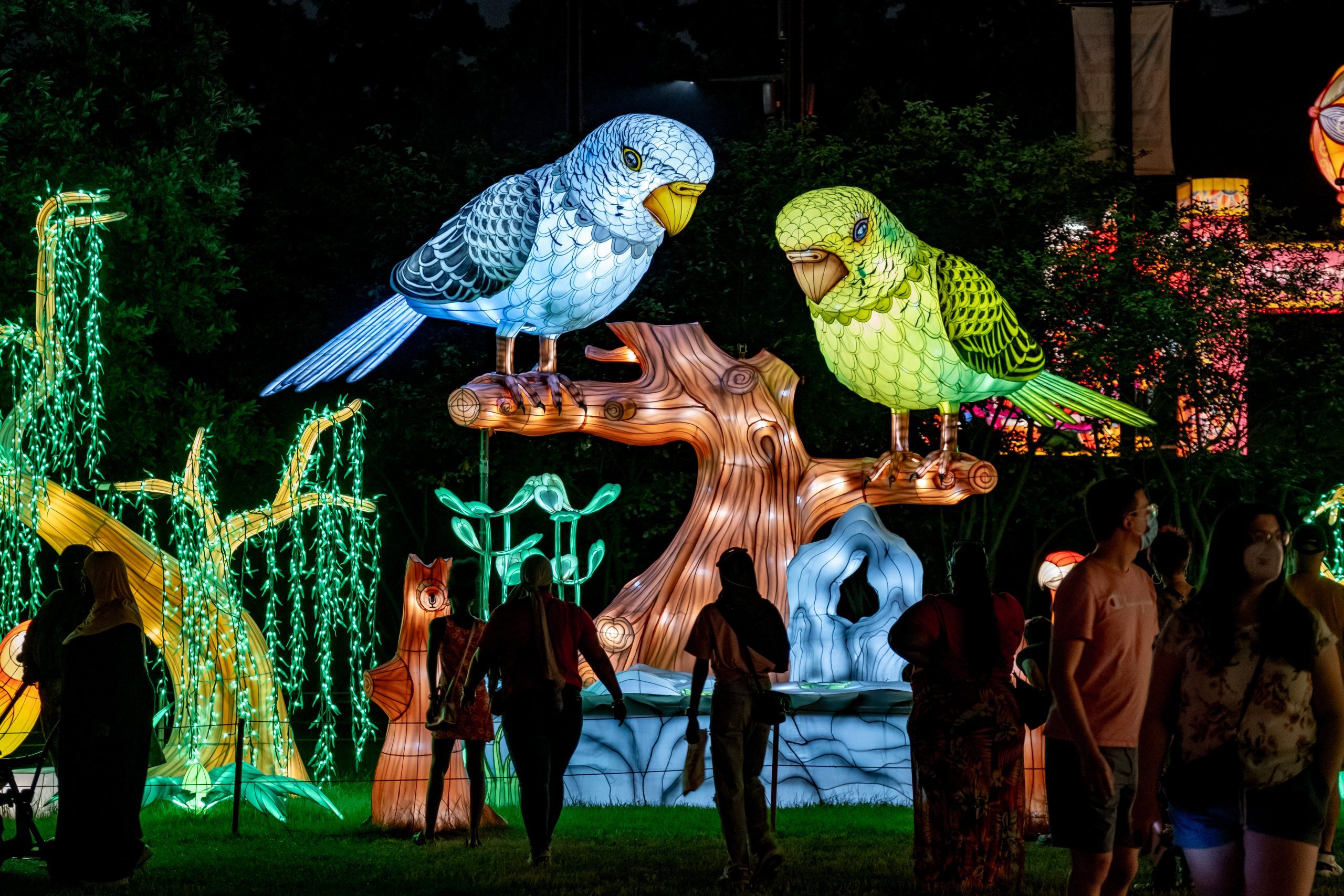 Tianyu Lights Festival