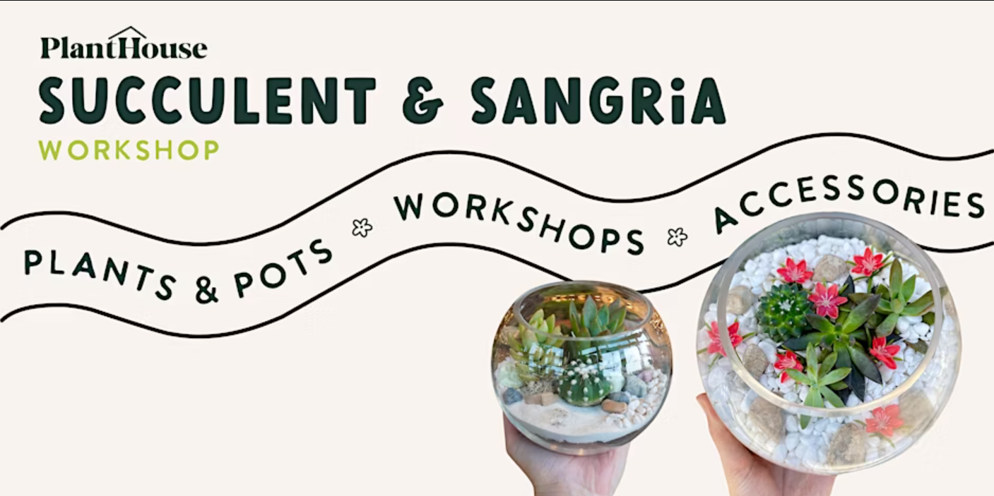 Succulent & Sangria Workshop