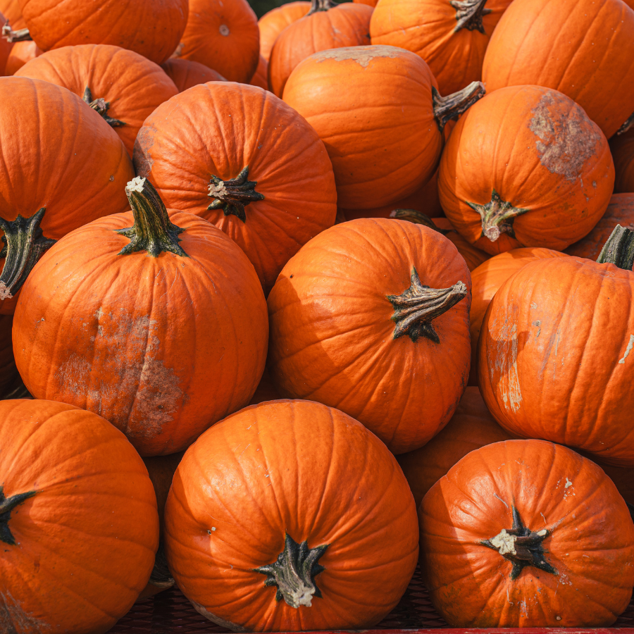 Statesville Pumpkin Festival