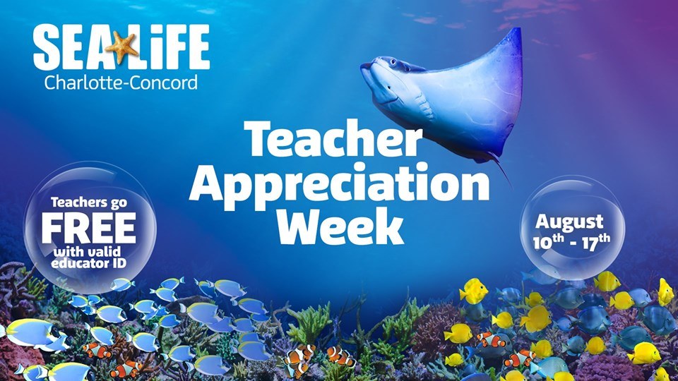 Teacher Appreciation