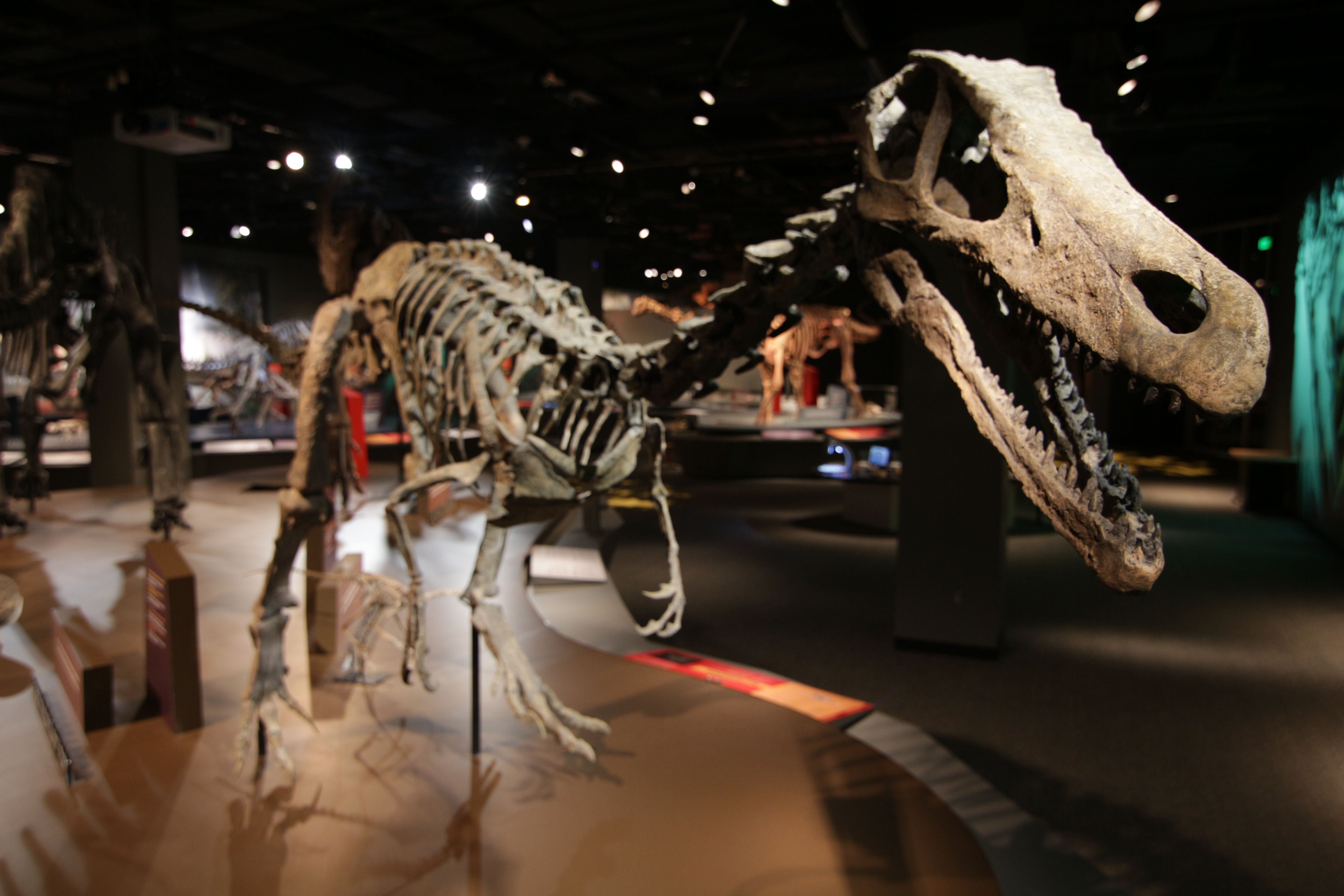 Ultimate Dinosaurs: A New Breed of Beast