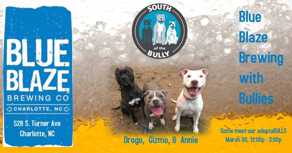 Blue Blaze Brewing and Bullies