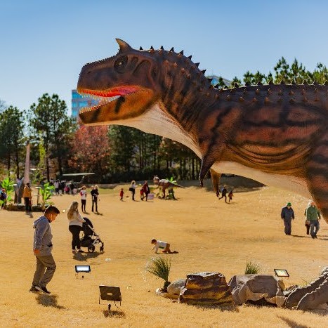 The Jurassic Encounter