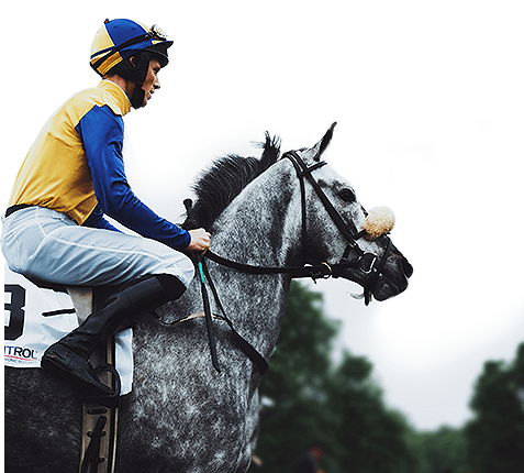 Queen's Cup Steeplechase 2022