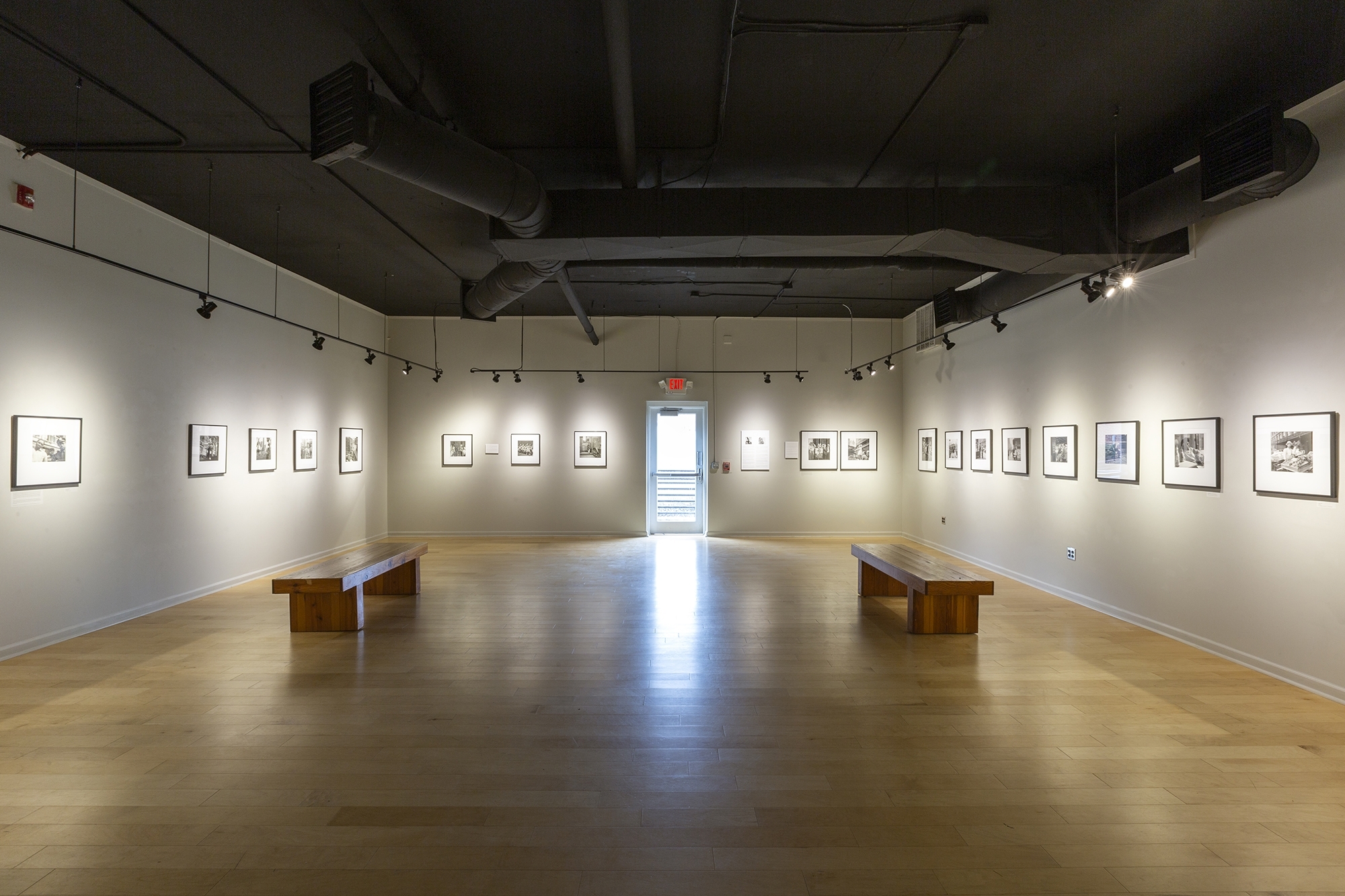 The Light Factory/2019 in Focus