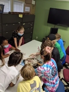 Raptors Rock Summer Camp at Carolina Raptor Center