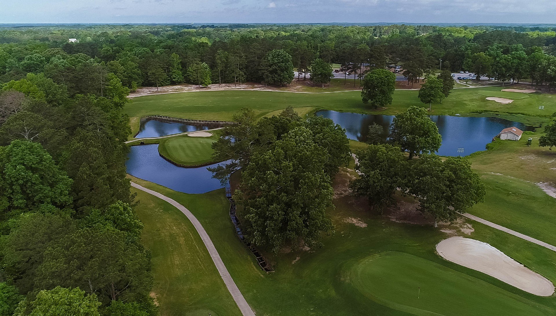 Golf popular club lot