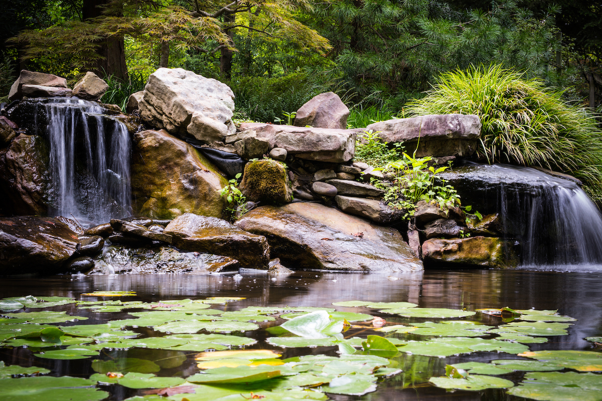 UNCC Botanical Gardens 33
