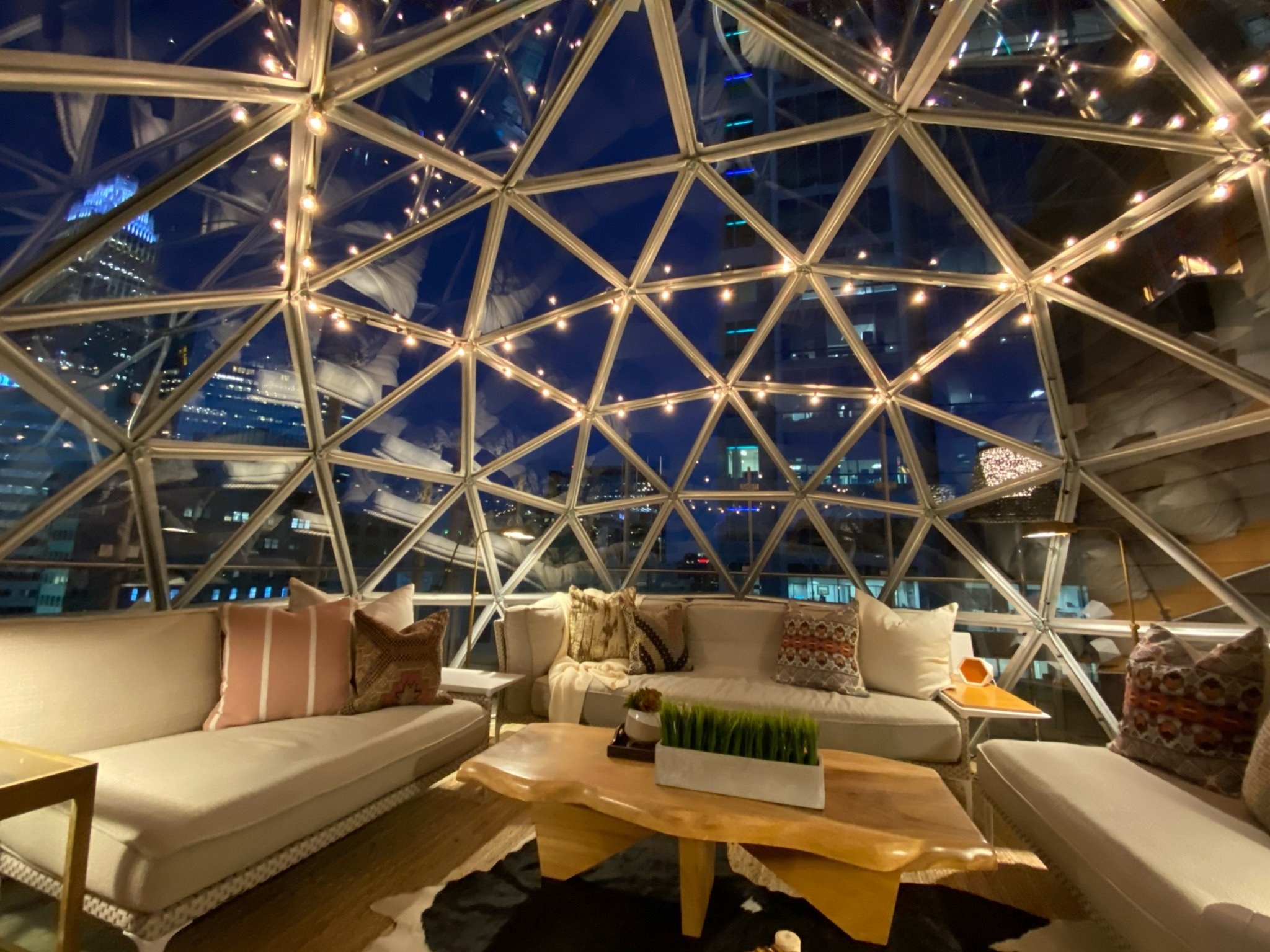 Just Opened - Nov. '21