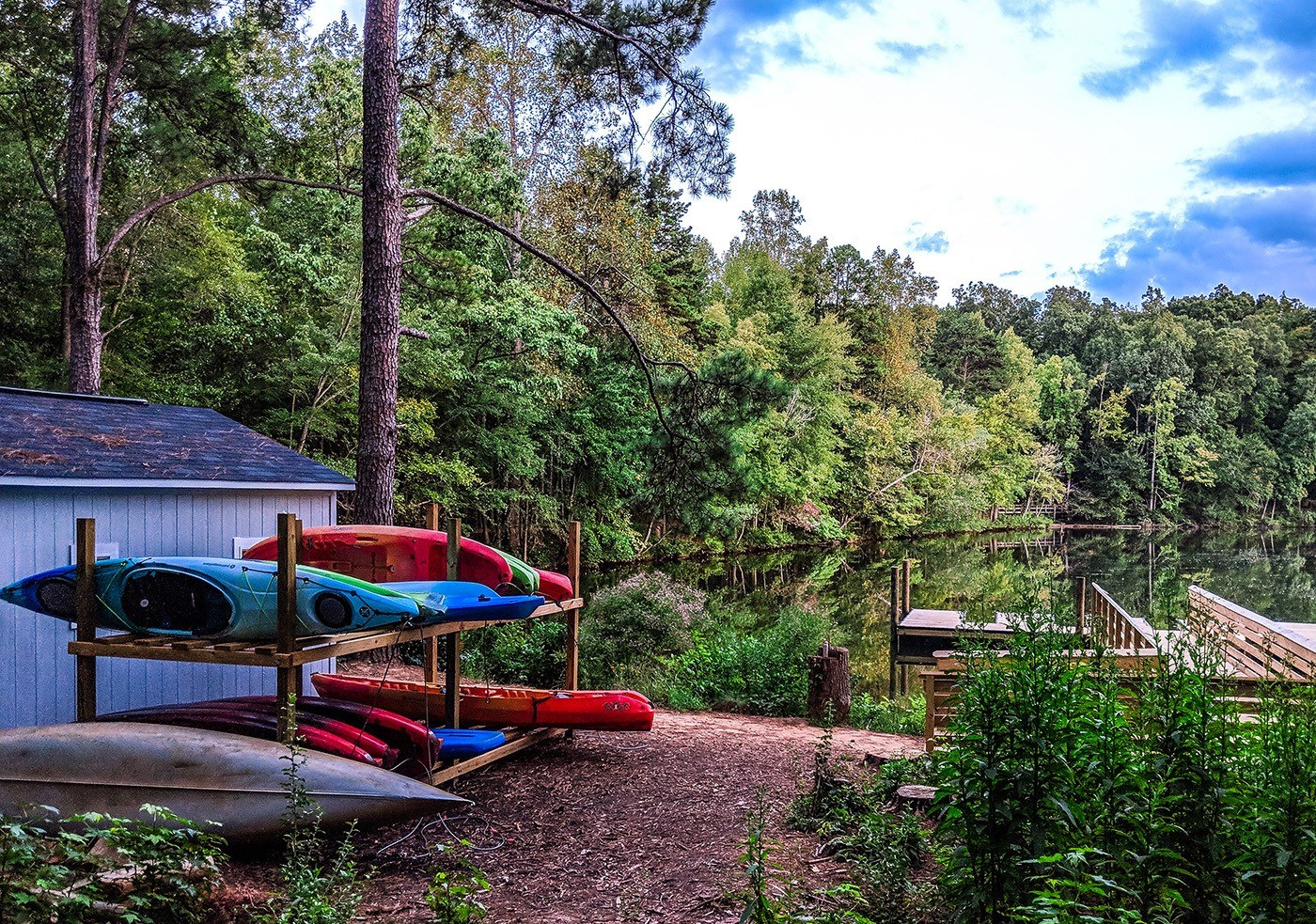 3 Anne Springs Close Greenway Summer