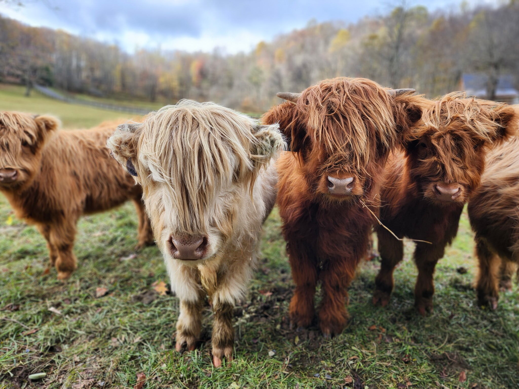 Experience Winter at the Whitewater Center
