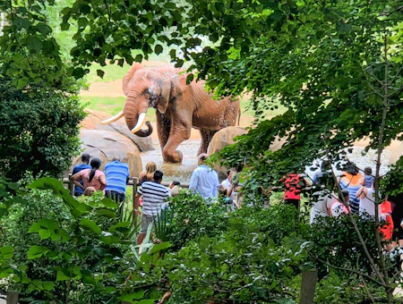 20 Picture-Perfect Day Trips in the Charlotte Region