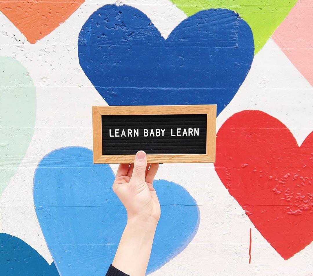 The Best Virtual Things to Do in Charlotte