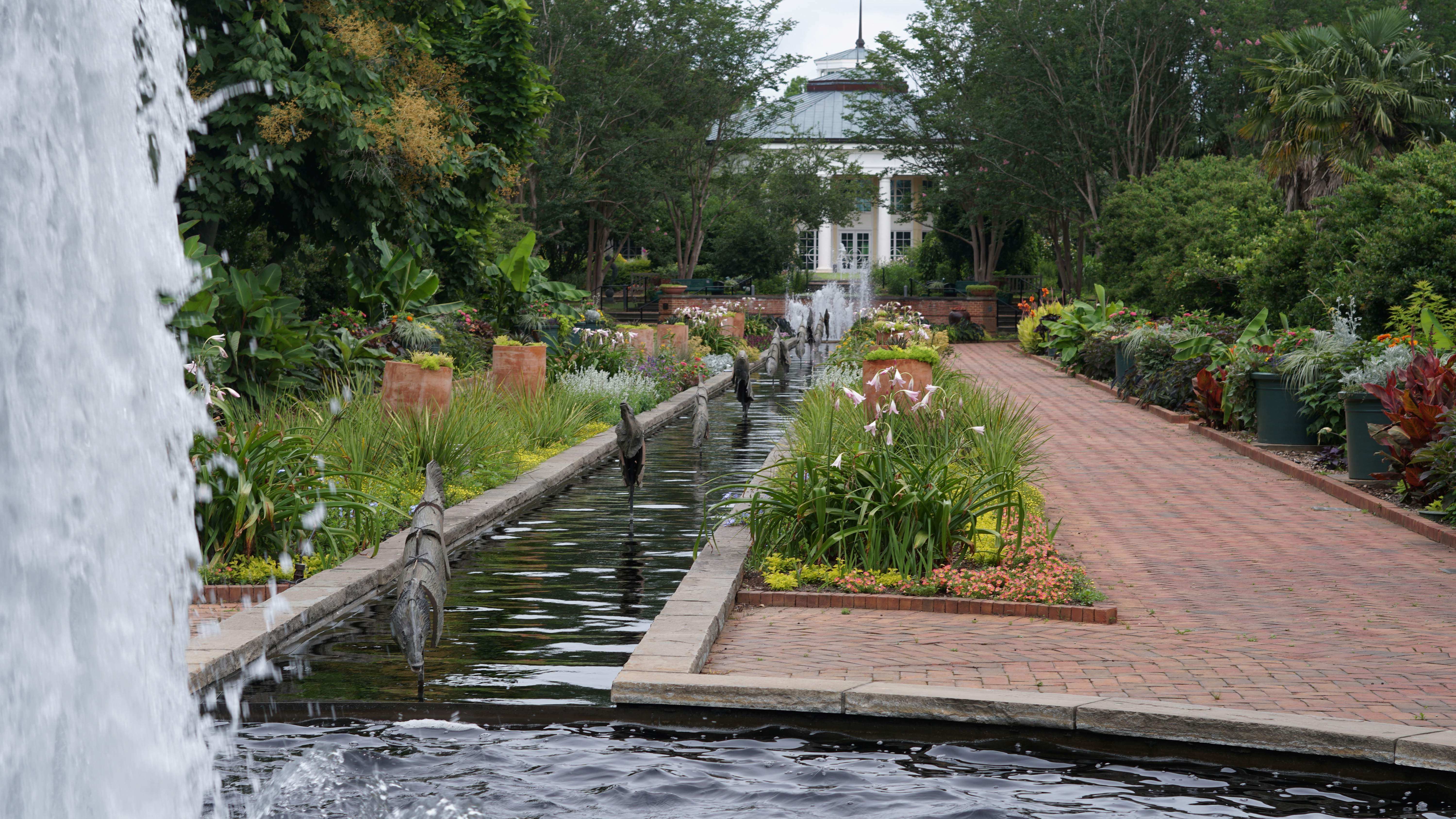 Discover the Beauty of Daniel Stowe Conservancy