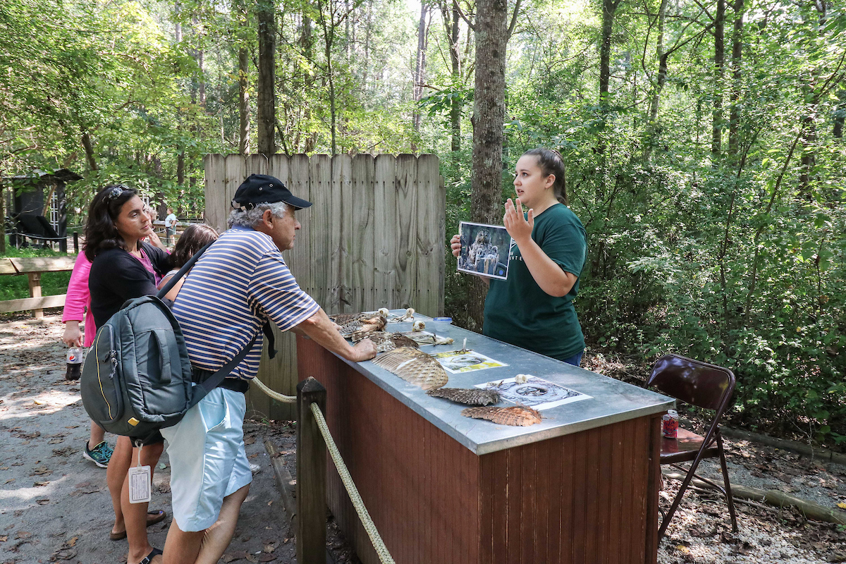Accessible Attractions in Charlotte