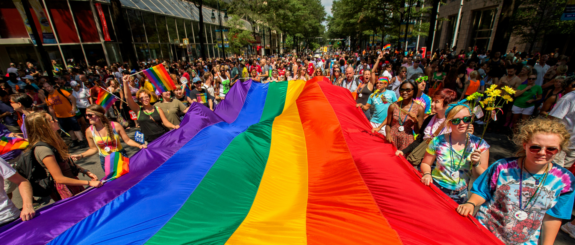 Diversity & Inclusion: Community Cultivators