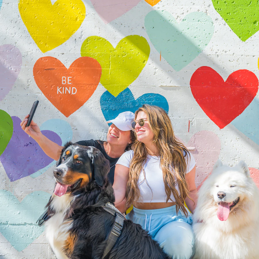 The Ultimate Charlotte Bachelorette Itinerary