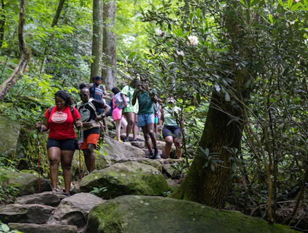Health & Wellness Hidden Gems in Charlotte